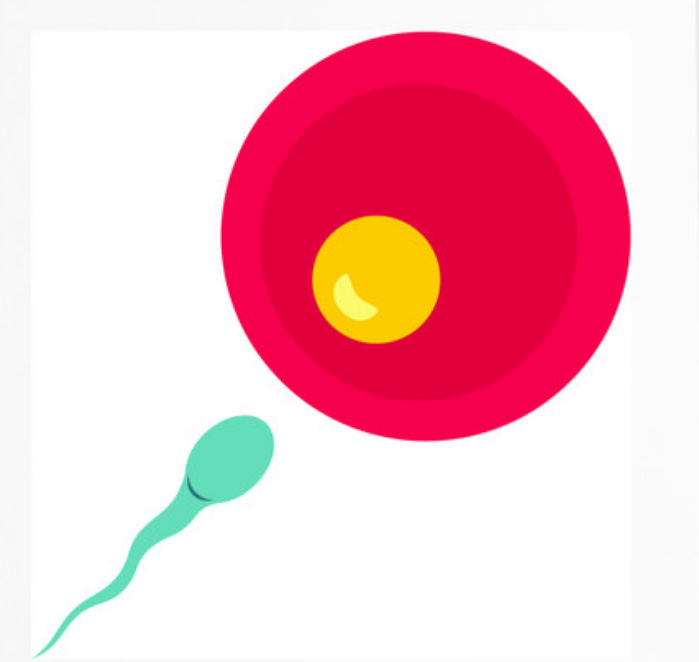 温州借卵合法 温州借卵试管成功率前三医院公开 ‘孕早期症状看男女’