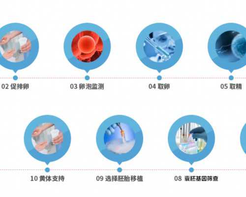上海第一人民医院试管治疗的成功率如何？?,上海冻卵后生育成功率高吗