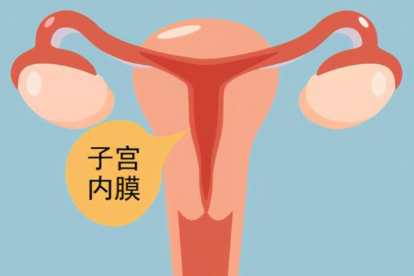武汉代生孩子第三代试管 女性怎么备孕做武汉试管婴儿呢? ‘胎三维彩超显示脑