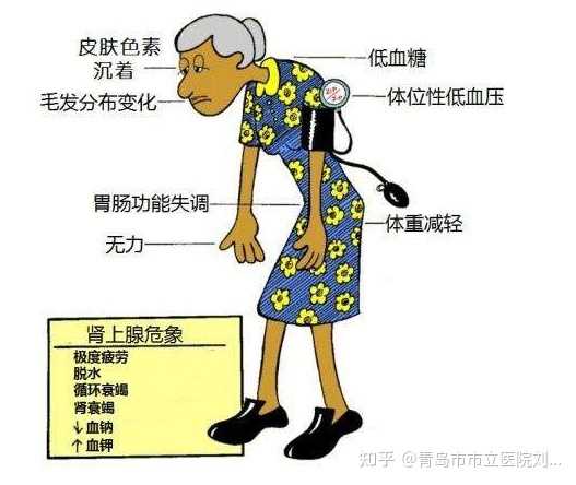 上海有供卵代怀吗多少钱,上海仁济医院试管婴儿出诊需要携带哪些资料？?