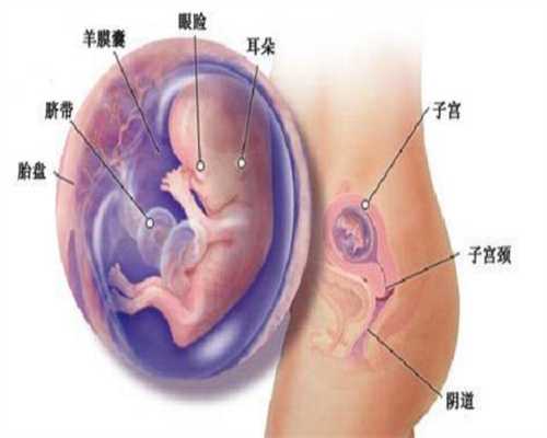 产后看试管婴儿流程优佳北京家圆起来很显老？