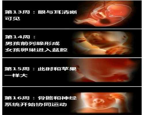 香港政府将停止“奶粉热线”_正规代孕网服务中