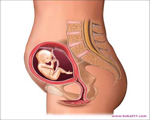 代孕初期不能吃什么易流产食物_卵巢功能衰退还