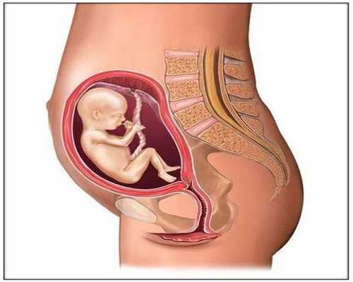 代孕10周(满9周),代孕3个月,代孕10周(满9周)胎儿图