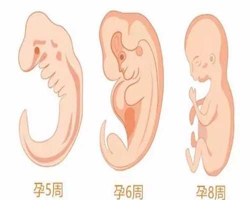 哪些妇科病会影响女人代孕呢_河南郑州那个看不