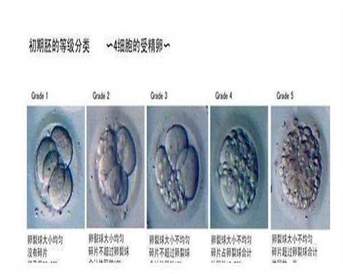 上海合法代孕服务好的商家_上海中医学院助孕丸
