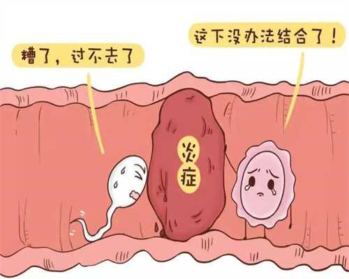 上海世纪代怀孕双胞胎_找个代生女要多少钱_孕妇