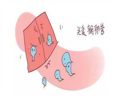 上海代孕过程的_上海传承助孕_孕晚期胎动一抖一