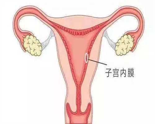 上海世纪代怀孕费用_做代孕费用_孕妇能不能够吃