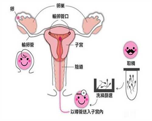 上海代孕中介合法吗_东骏国际助孕中心违法_葡萄