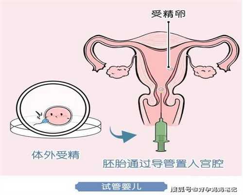 上海代孕流程_哪里有供卵试管医院_胎宝宝多大算
