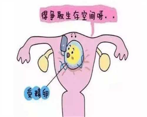 上海代孕生孩子注意事项_上海代孕要多少钱_怀孕初期同房还会排卵吗