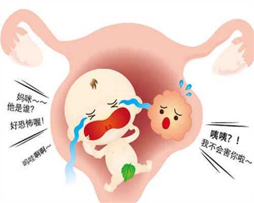 上海代生孩子需要多少钱_上海代生孩子男_怀孕初期胃难受怎么办