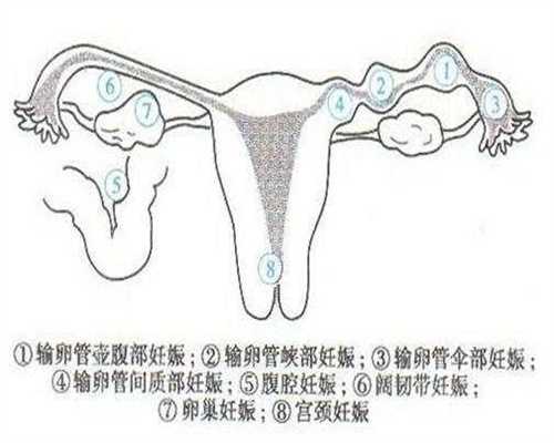 上海国内正规代孕机构_上海2021代孕孩子_羊水破了胎动什么情况
