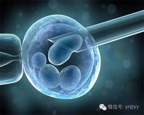 上海代孕服务价格_上海代孕女子的价格_糖尿病合并妊娠的危害