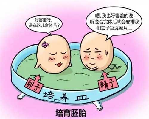 上海代孕女联系电话_上海哪些人适合做代孕_代孕团队哪里有_找代孕要多少钱