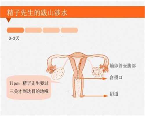 上海试管婴儿代孕优势_上海代孕要多少钱才能做_宝宝夏季枕秃，还是因为缺钙