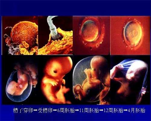 上海代孕中介靠谱吗_上海哪家做代孕好呀_孕期吸烟 胎儿易发抽动症