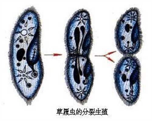 上海代孕怎么过程_上海代孕的费用如何_孕妇感冒“死撑”危害胎儿