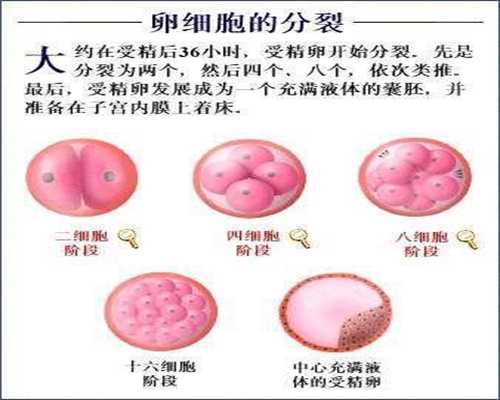 上海代孕公司网站_上海代孕哪家医院较好_早孕反应是不是时好时坏