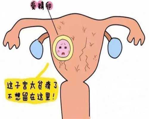 <b>上海代孕公司哪家大_上海2020年代孕宝宝_怀孕初期能不能吃地瓜</b>
