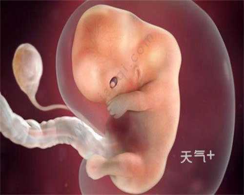 上海代孕和亲生有什么不同_上海代孕不孕不育证明