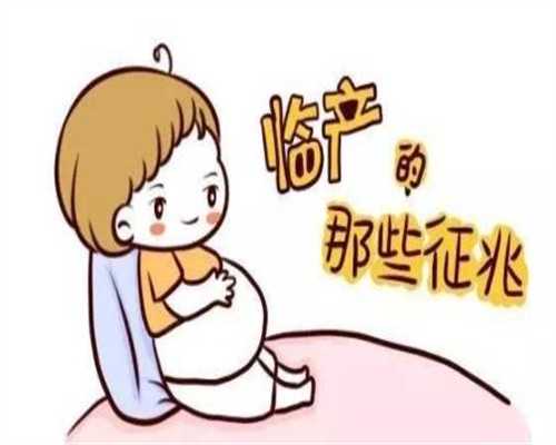 上海代生子_上海供卵一次成功的概率大吗_代怀小孩哪家好_5A级代孕公司