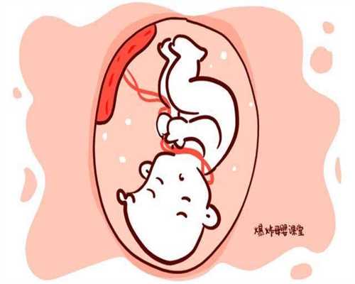 上海供卵费用高吗_上海私人供卵自孕试管婴儿机构_泰国试管婴儿医院哪个医院