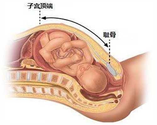 上海三代供卵试管公司_供卵黑中介_代孕费用多不多啊_代孕男孩多少钱