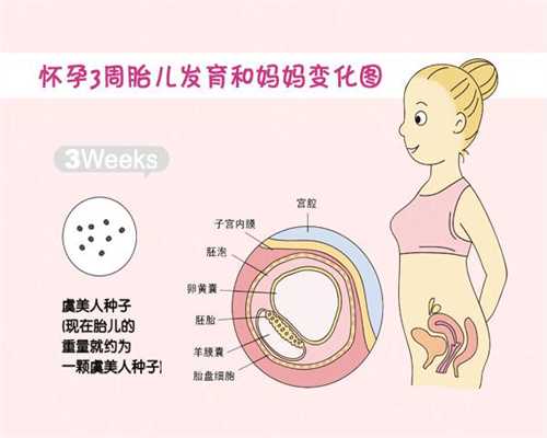 什么是供卵_上海供卵血型不对有什么影响_做试管婴儿手术去哪_云南曲靖做试管