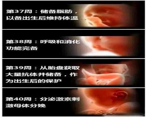上海供卵自怀_上海试管供卵的费用是多少_韩国堕胎率丹麦供卵走高 向非法堕胎