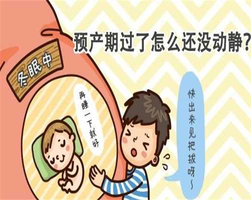 供卵合法吗_上海供卵与供胚那个成功率高_省正规供卵医院治疗多囊卵巢综合症