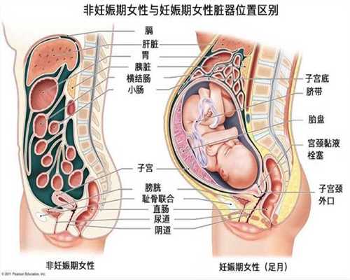 高龄供卵试管也难成功_上海供卵自怀被骗_供卵助孕费用泰生宝：三代试管婴儿