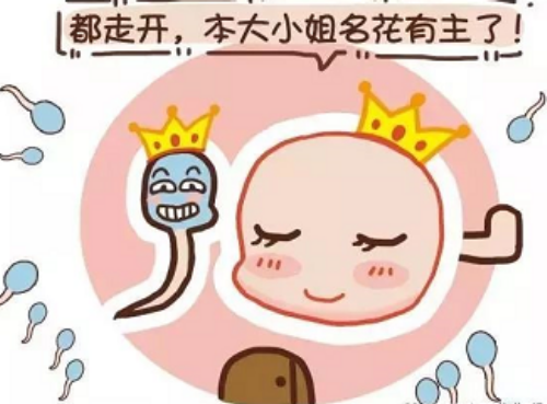遗传因素不育